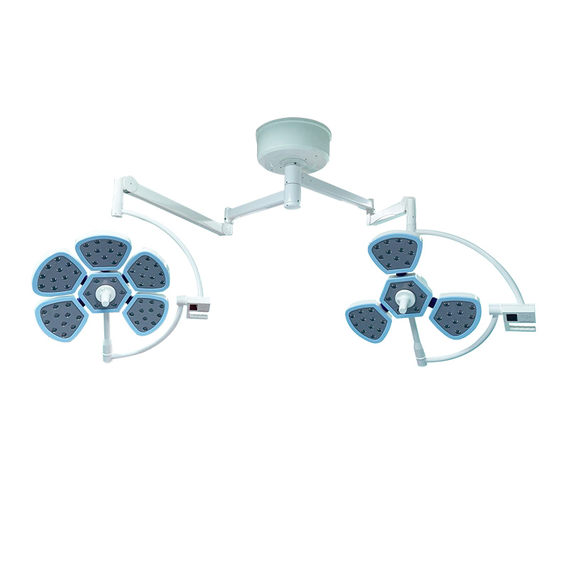 花瓣3+5.jpg 花瓣3+5.jpg